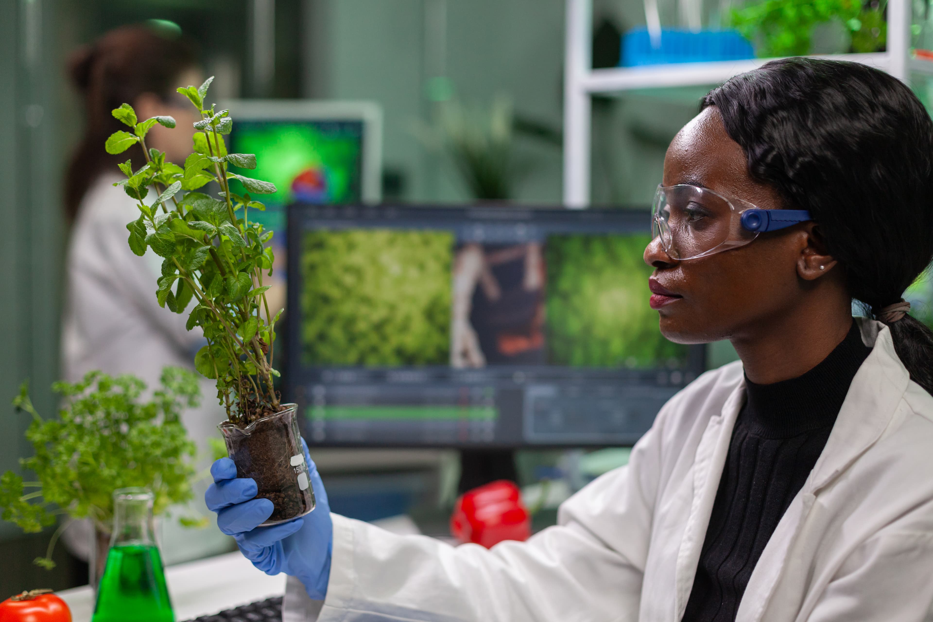 Scientifique dans un laboratoire examinant des plantes.